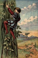 A young man climbs a tree with an unusual trunk high above the countryside.